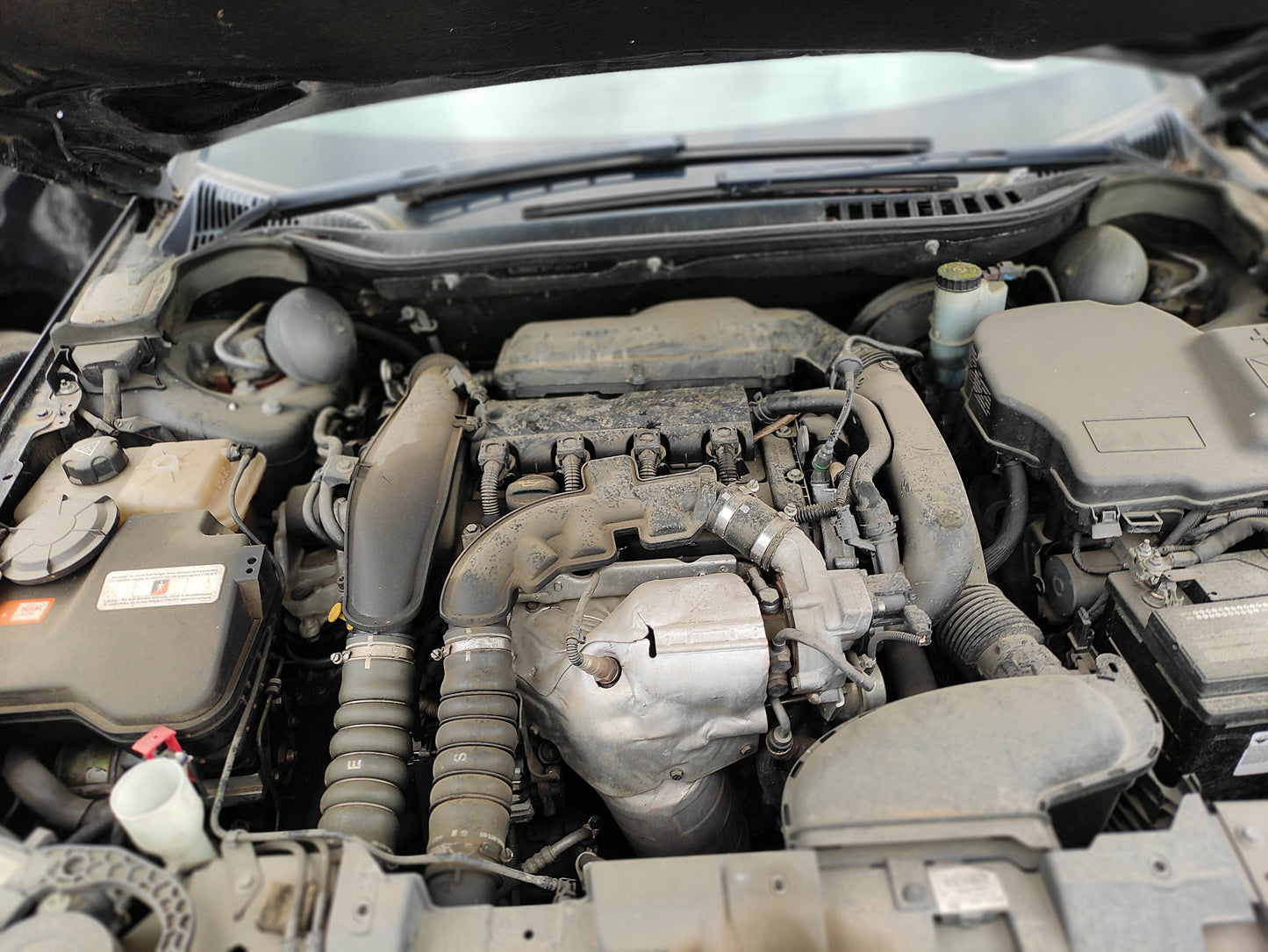 #721 CITROGEN C5 FOR QUALITY PARTS