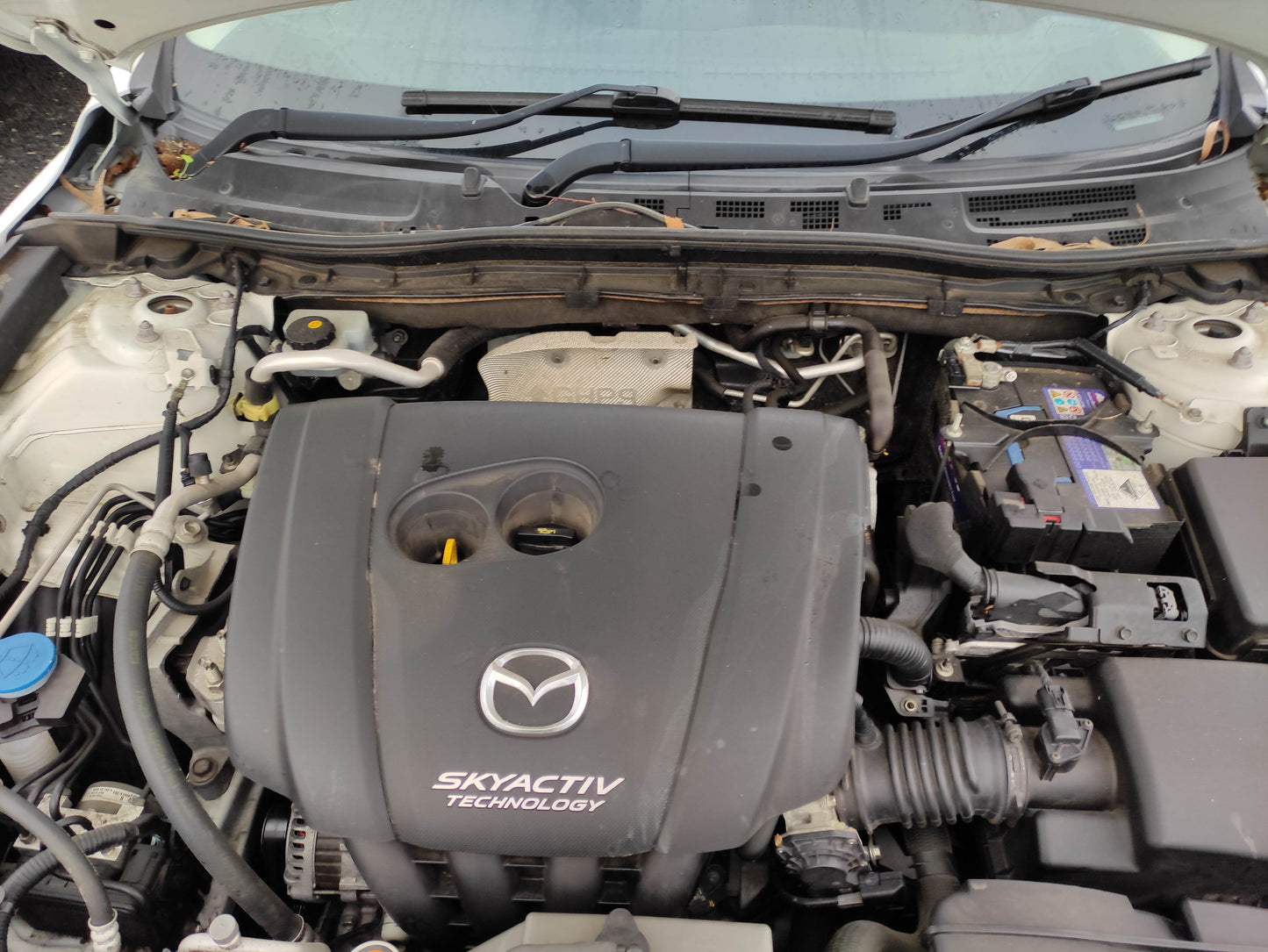 #717  MAZDA3 FOR QUALITY PARTS